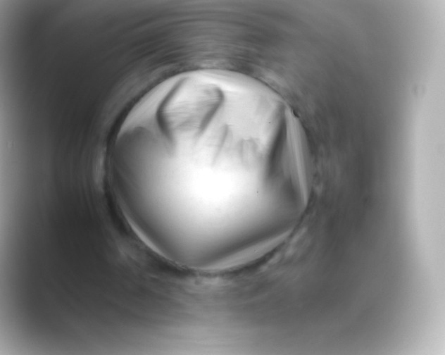 X0000088700194200706211951