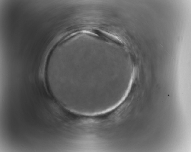 X0000088700195200706211951