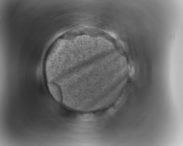 X0000088700196200706211951