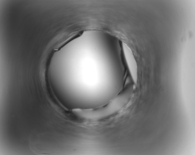 X0000088700197200706211951