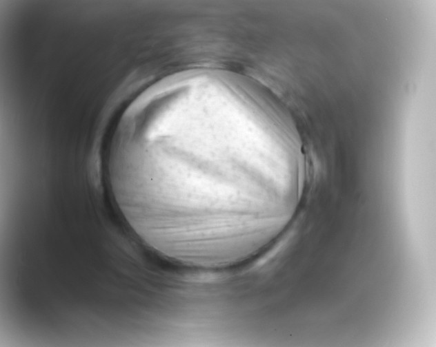 X0000088700198200706211951