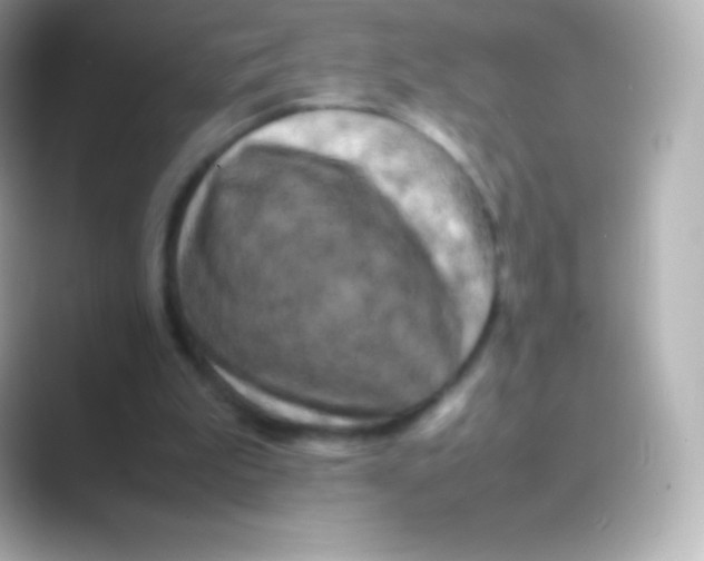 X0000088700199200706211951