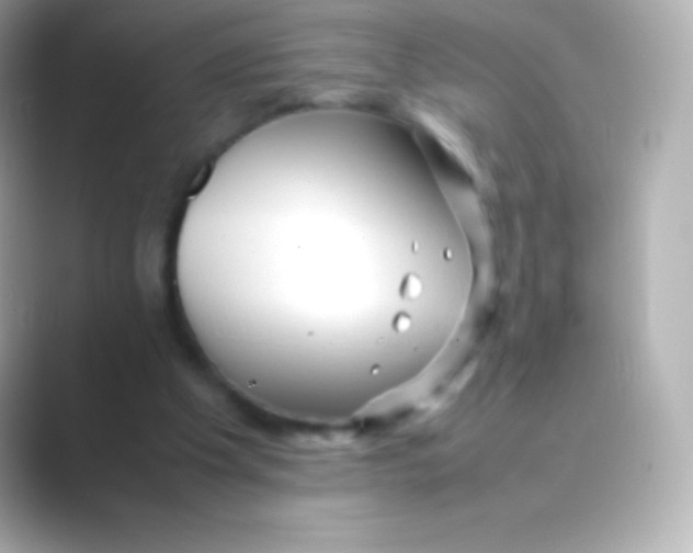 X0000088700201200706211951