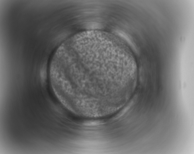 X0000088700202200706211951