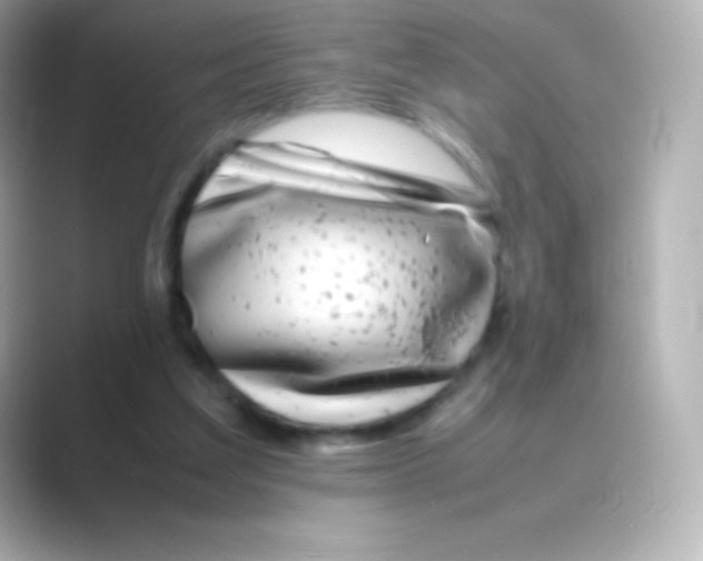 X0000088700203200706211951