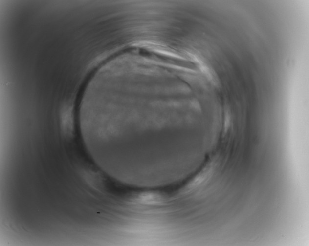 X0000088700204200706211951