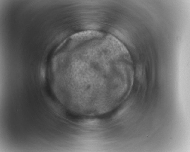 X0000088700206200706211951