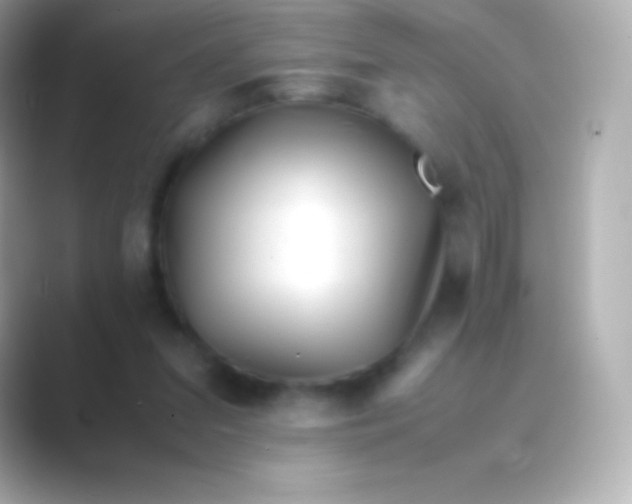 X0000088700207200706211951