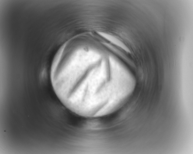 X0000088700214200706211950