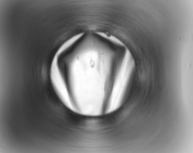 X0000088700216200706211950