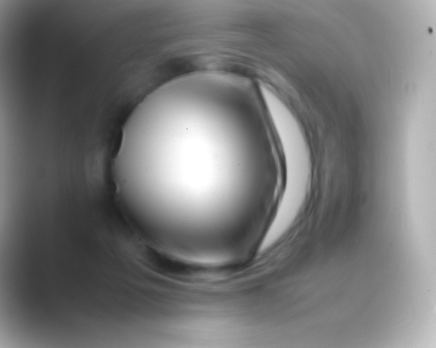 X0000088700217200706211950