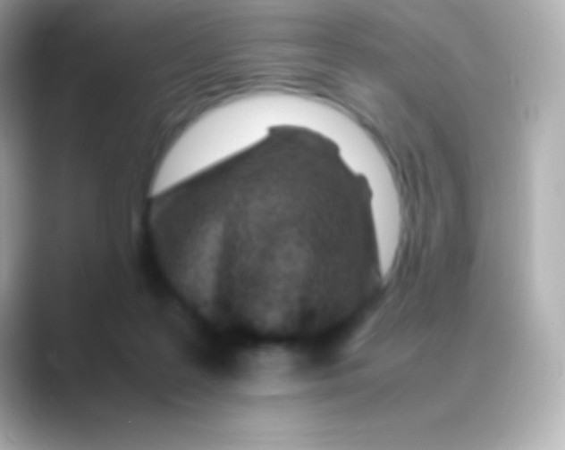 X0000088700219200706211950