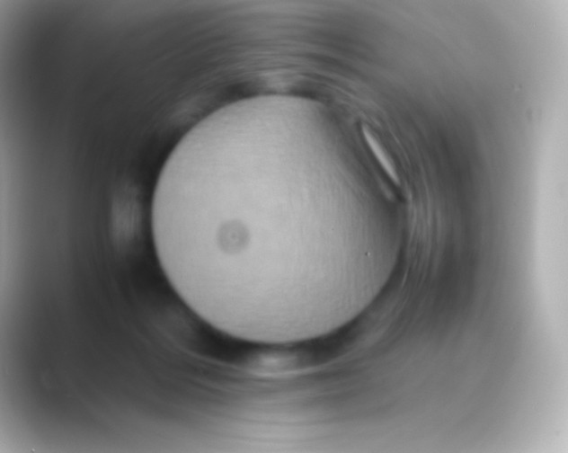 X0000088700220200706211950