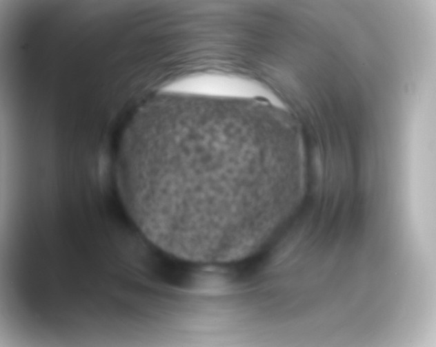 X0000088700222200706211950