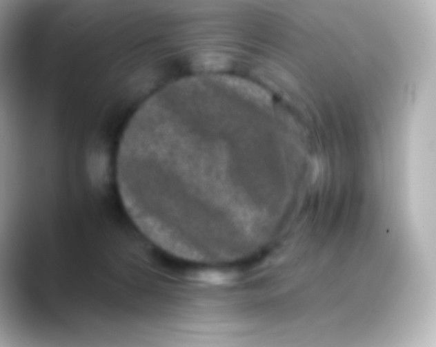 X0000088700224200706211950