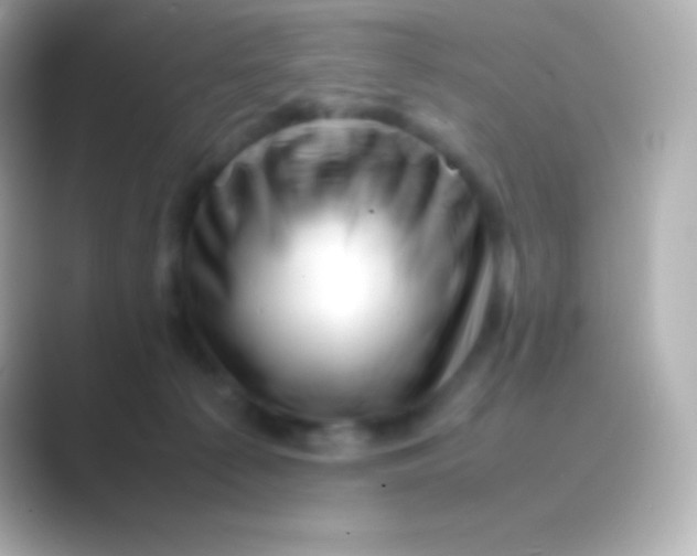 X0000088700225200706211950