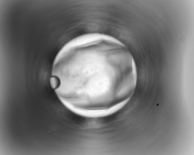 X0000088700226200706211950