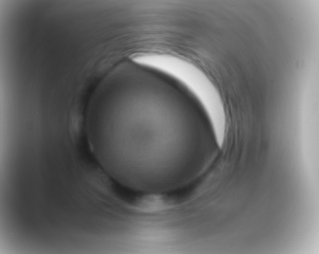 X0000088700227200706211950