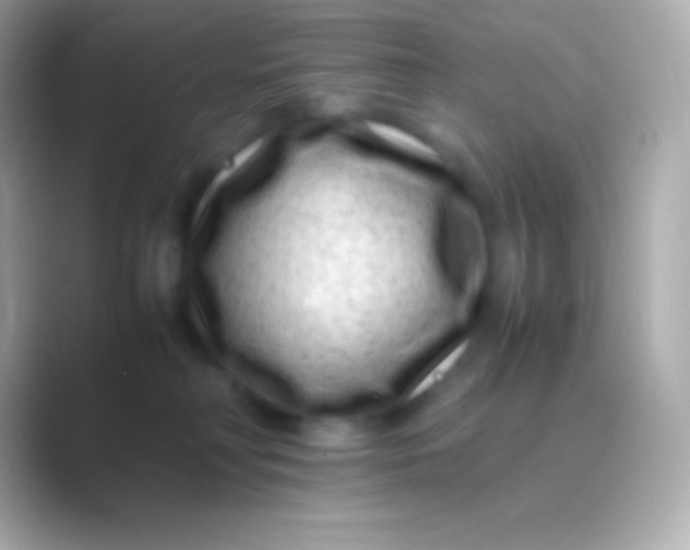 X0000088700230200706211950