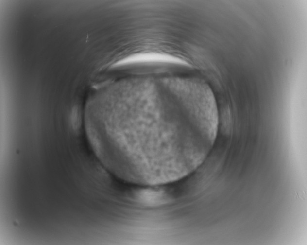 X0000088700232200706211950