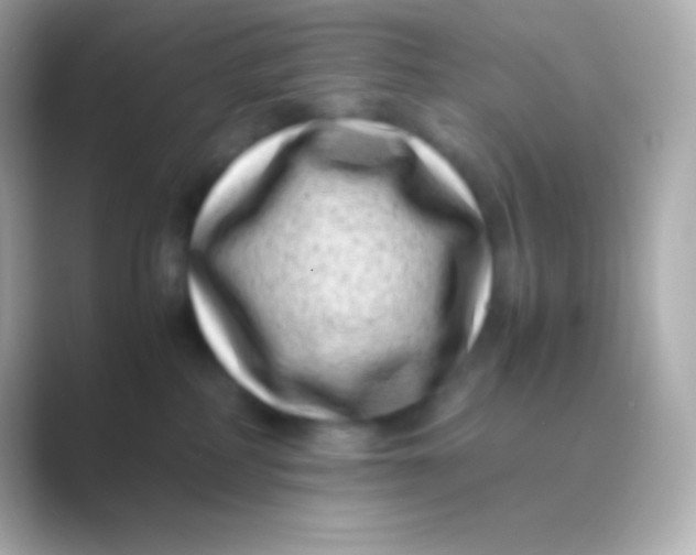 X0000088700234200706211950