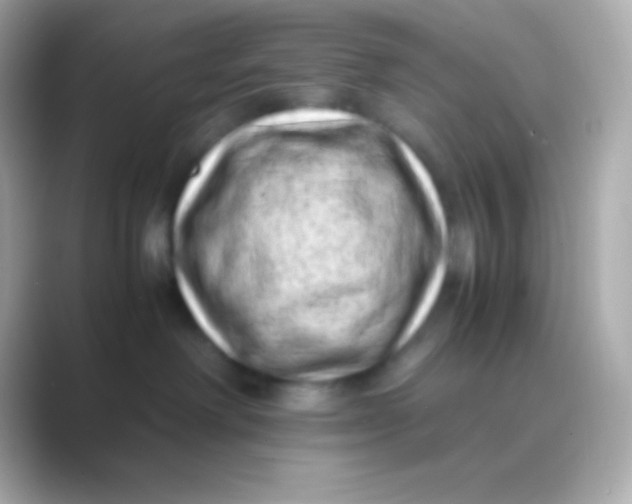 X0000088700238200706211950