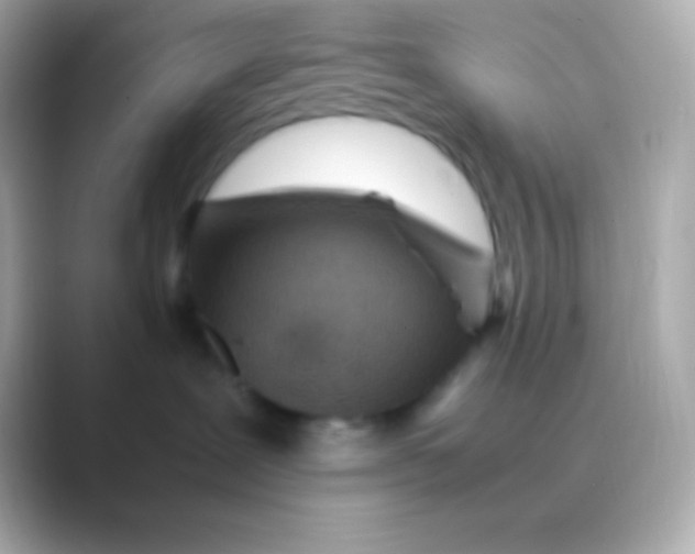 X0000088700239200706211950