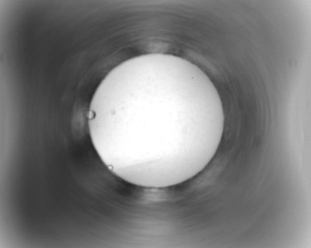 X0000088700240200706211950