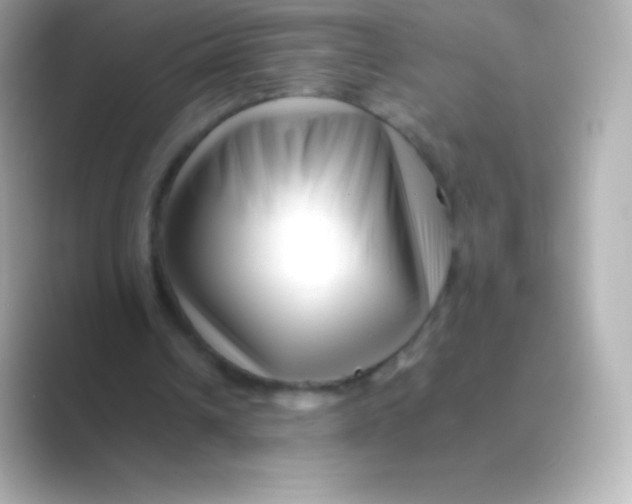 X0000088700242200706211949