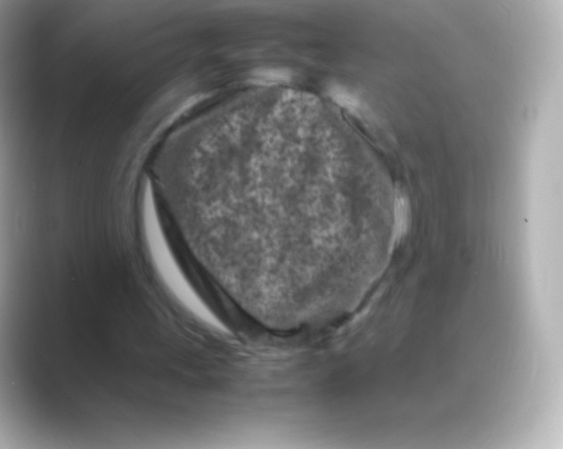 X0000088700243200706211949