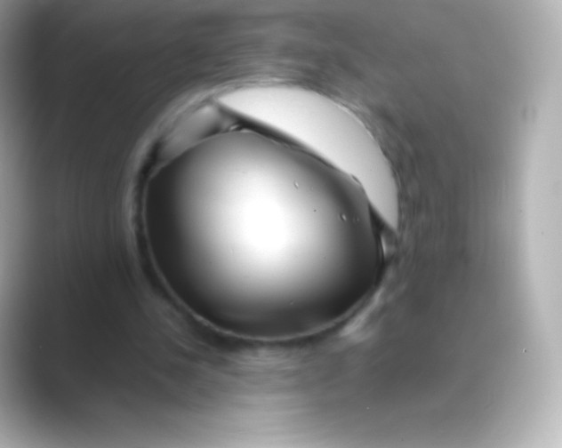 X0000088700244200706211949