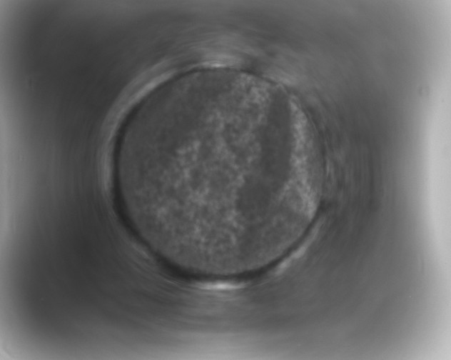 X0000088700247200706211949