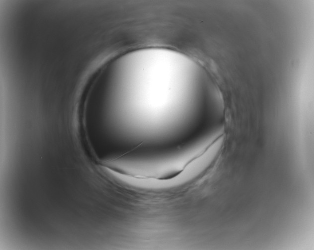 X0000088700248200706211949