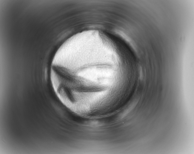 X0000088700253200706211950