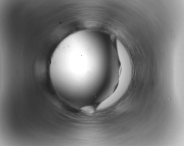 X0000088700260200706211950