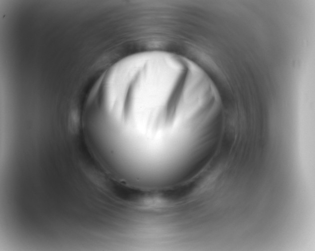 X0000088700262200706211950