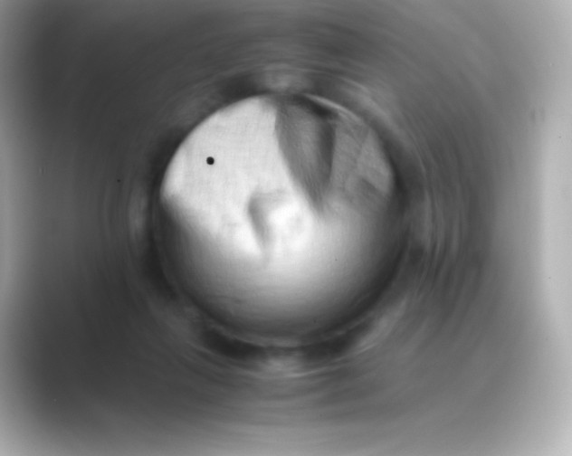 X0000088700263200706211950