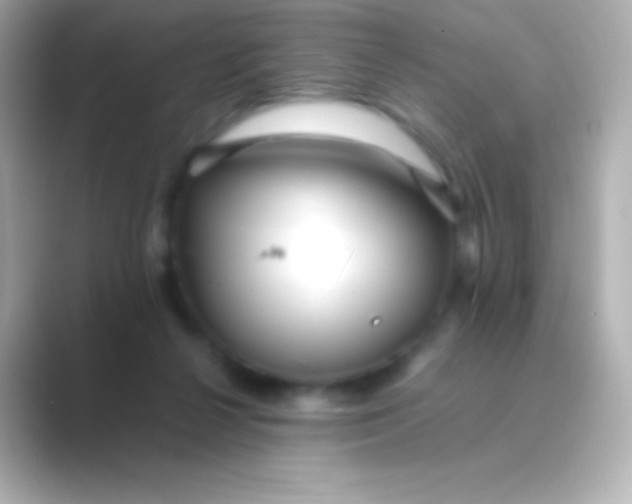 X0000088700264200706211950