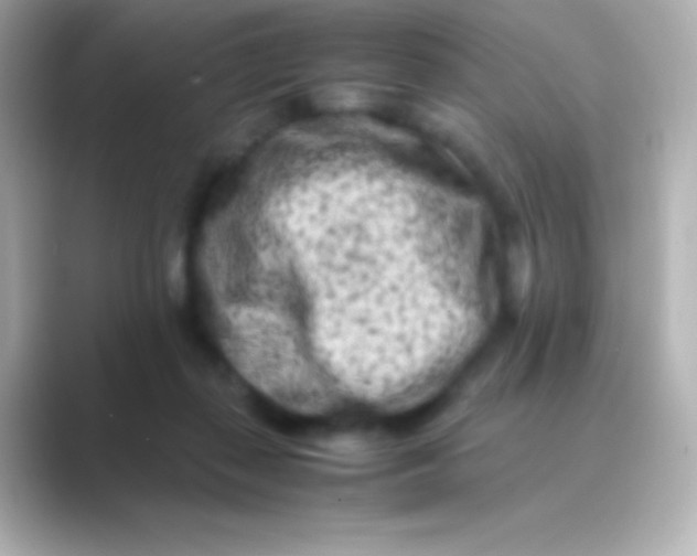 X0000088700267200706211950