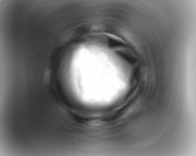 X0000088700269200706211950