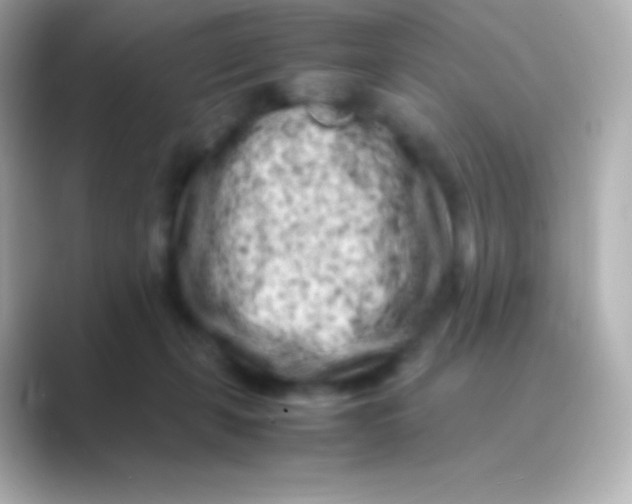 X0000088700271200706211950