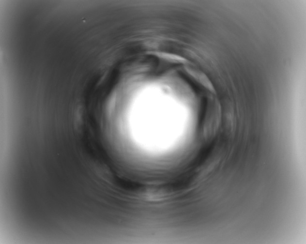 X0000088700275200706211950