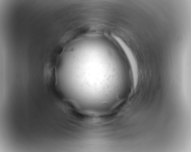 X0000088700276200706211950