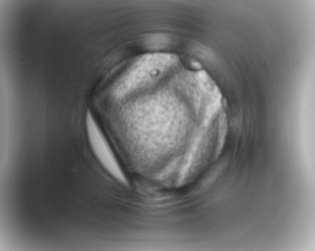 X0000088700277200706211950