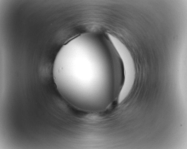 X0000088700280200706211950