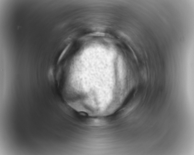 X0000088700286200706211950