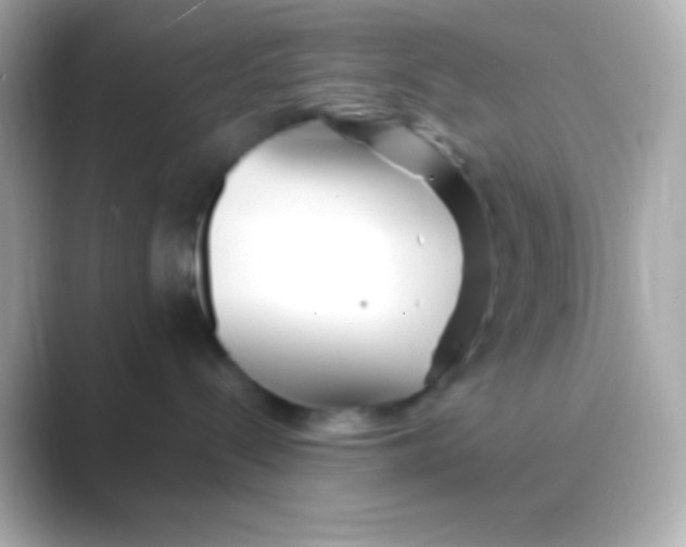 X0000088700288200706211950