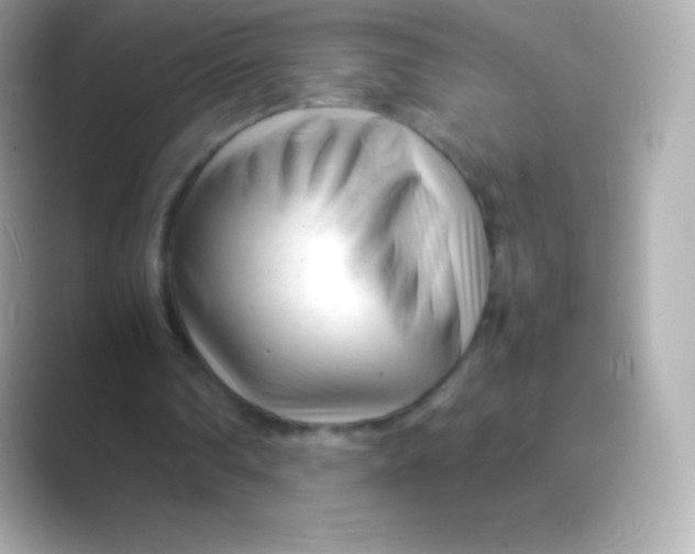 X0000088700290200706211949