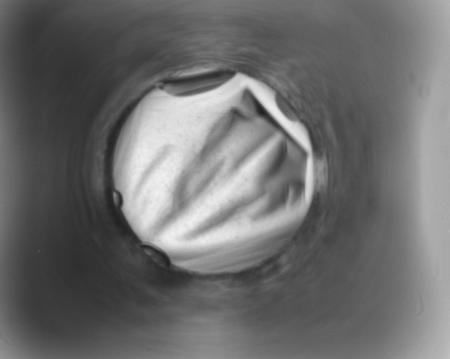 X0000088700291200706211949