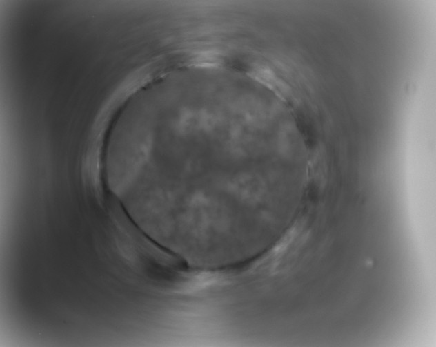 X0000088700293200706211949